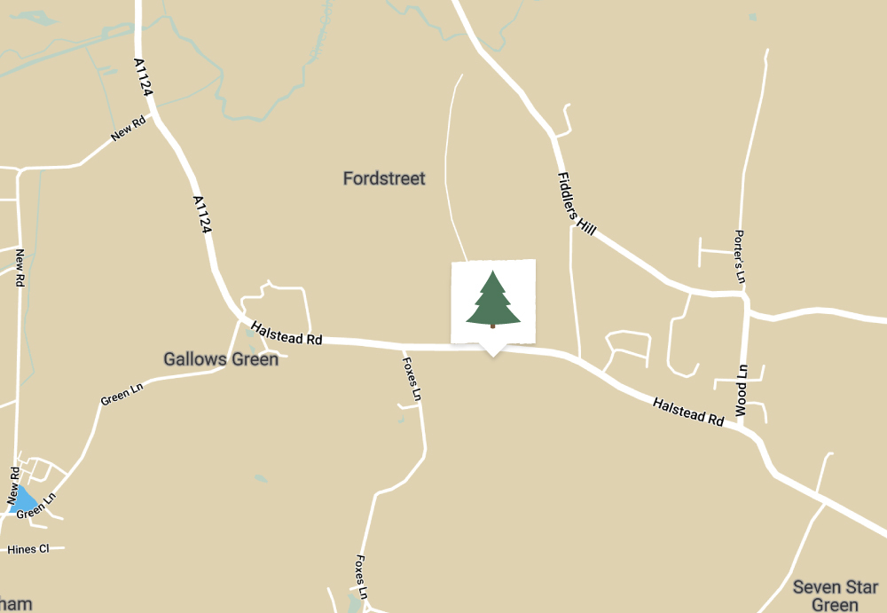Location Image for the Christmas Tree Farm